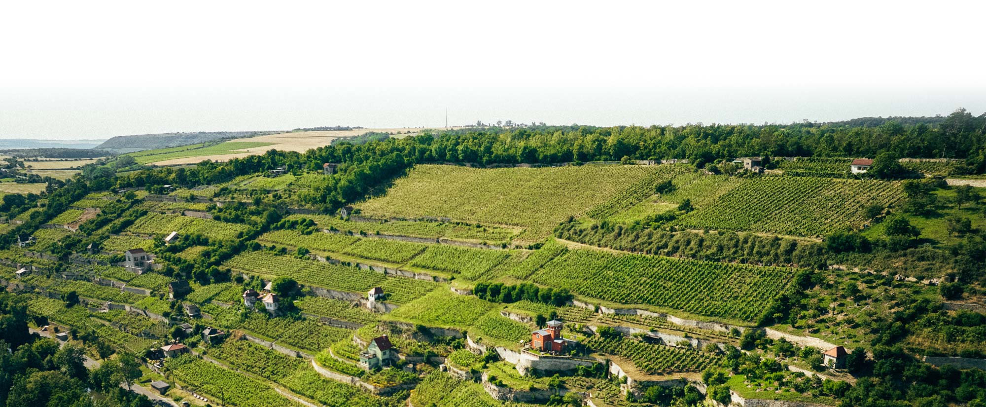 Weinberge auf einen Blick