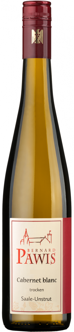 2025 Cabernet Blanc DQW trocken
