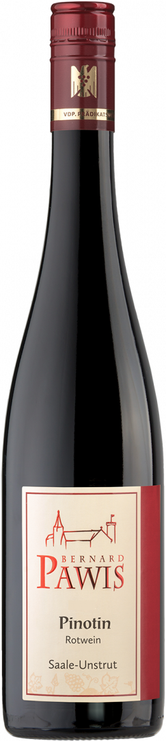 2025 Pinotin DQW trocken
