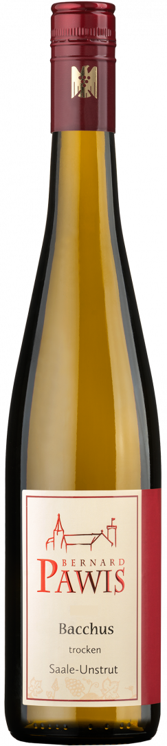 2025 Bacchus DQW trocken