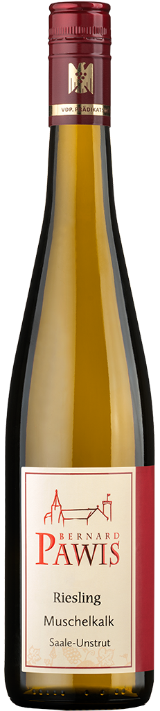2025 Riesling Muschelkalk DQW trocken